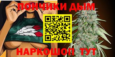 крисы Малоярославец