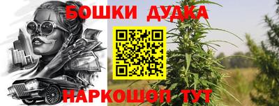 индика Малгобек
