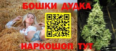 крисы Малоярославец
