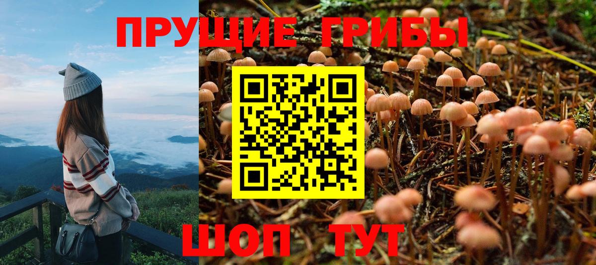 Галлюциногенные грибы прущие грибы Домодедово