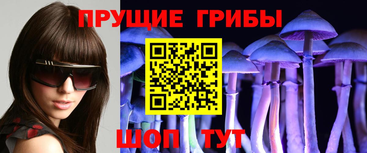 Галлюциногенные грибы прущие грибы  Вход с VPN  Домодедово 